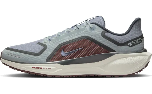 Nike Pegasus 41 Gore-Tex running uomo 43 EU