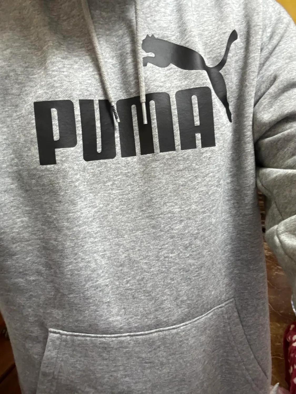 Puma Essentials felpa uomo con cappuccio cotone grigia