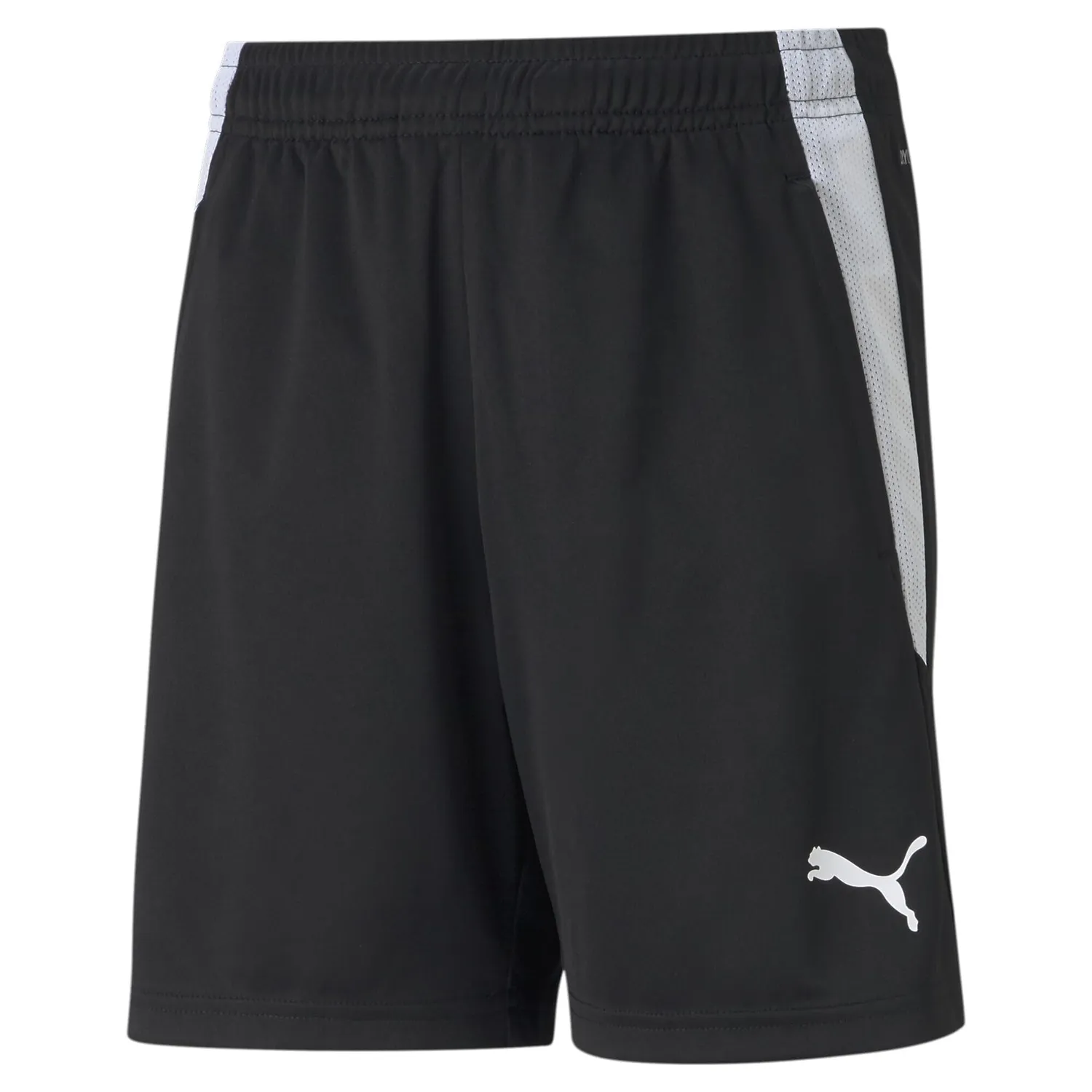 Puma Teamliga Shorts Junior Blu Navy pantaloncini