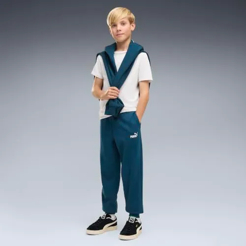 Puma Ess No.1 Logo Sweatpants FL B pantaloni tuta 176 logo