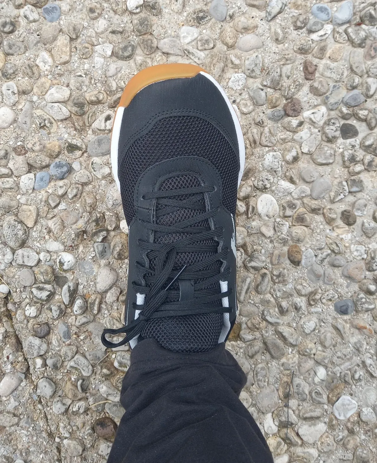 PUMA Varion II scarpe indoor unisex da palestra