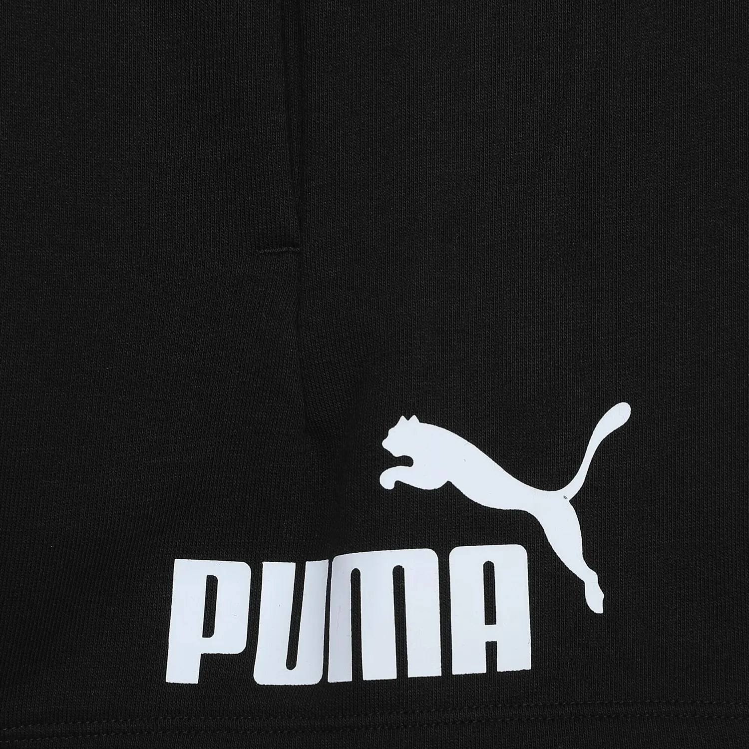 PUMA Ess No.1 Logo Shorts TR PS pantaloncini bimbo Green Moon