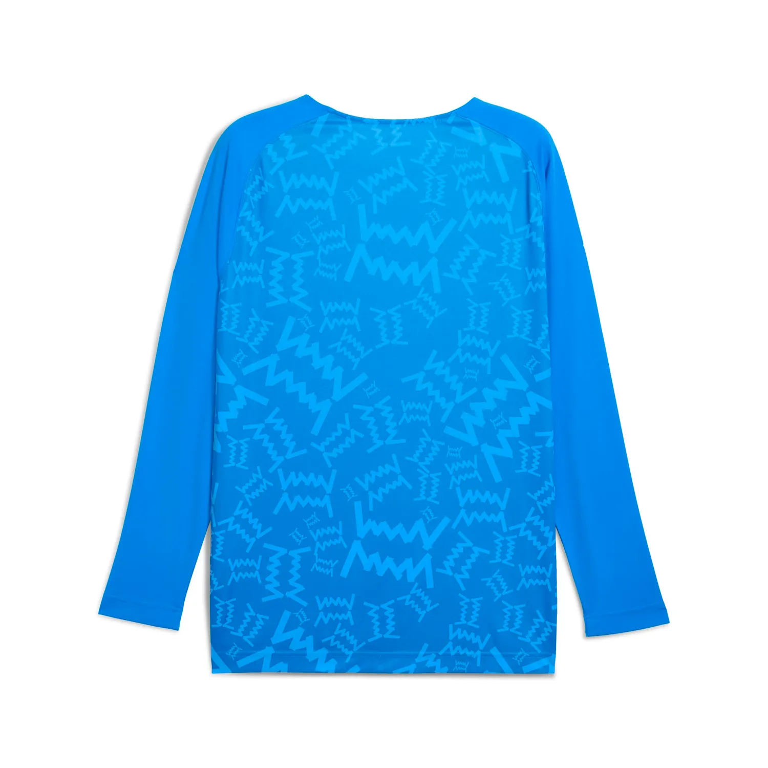 Puma Teamjaws Graphic LS Maglia Calcio Manica Lunga S Blu