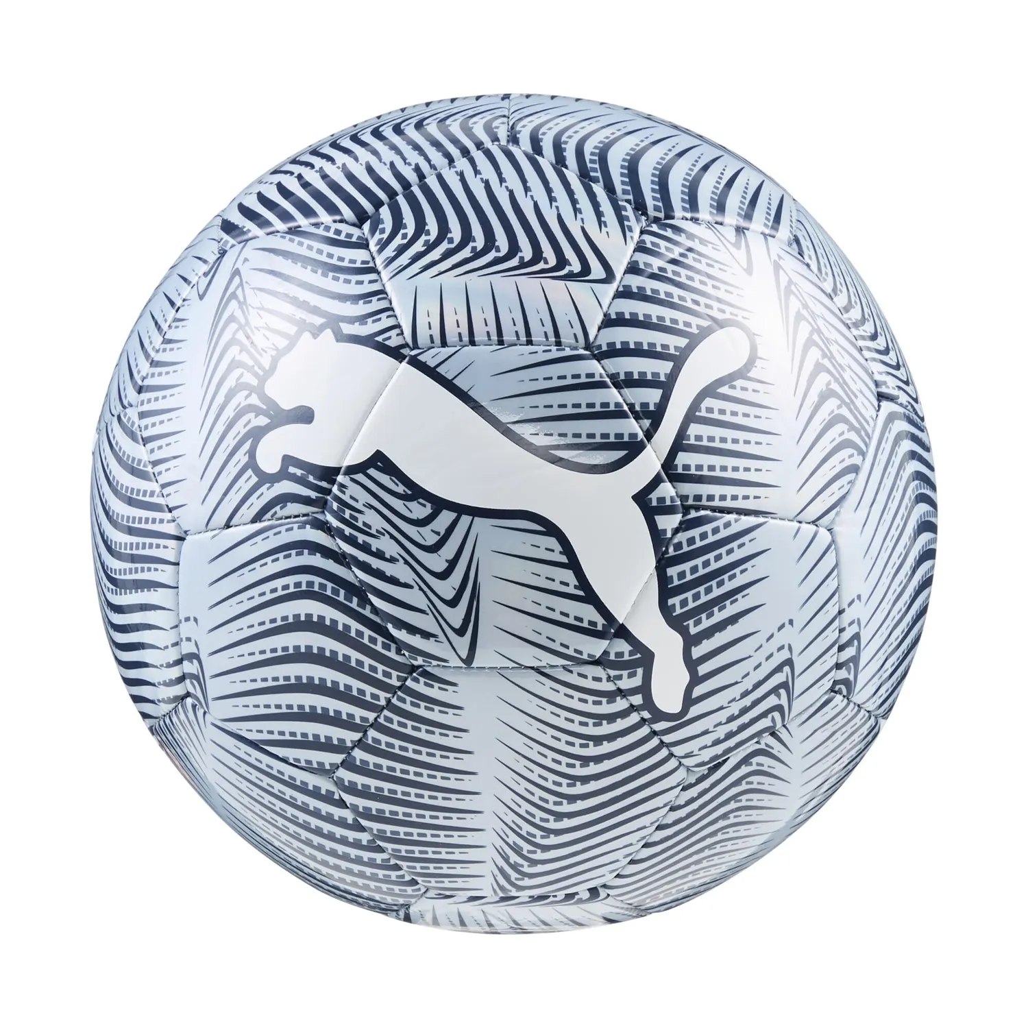 Puma Final Graphic pallone calcio allenamento olografico