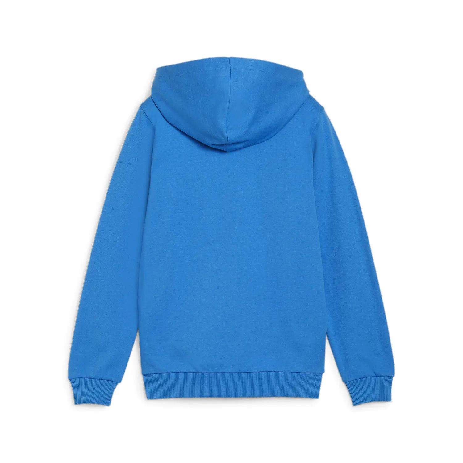 PUMA Teamgoal Hooded Jacket Jr felpa blu taglia 116