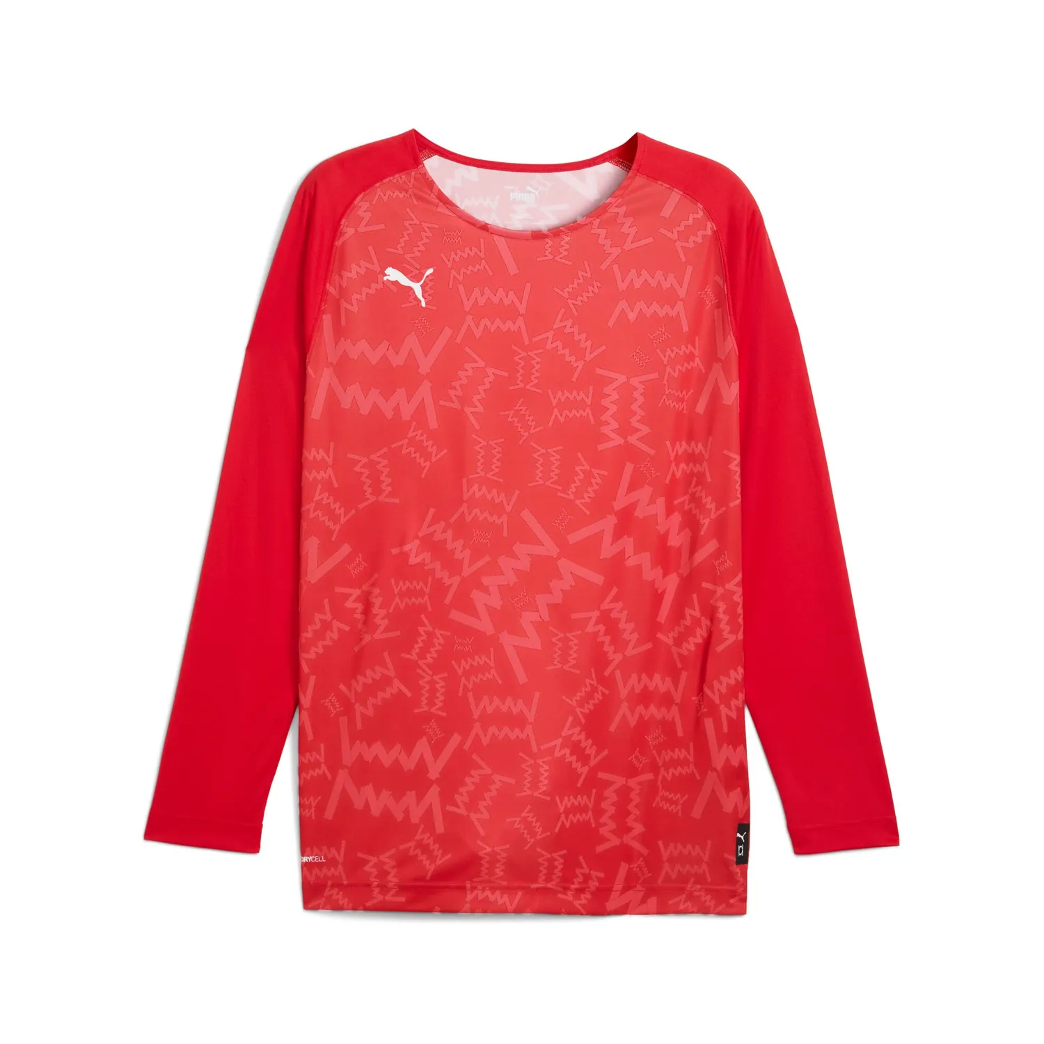 Puma Teamjaws Graphic LS Maglia Calcio Manica Lunga S Blu