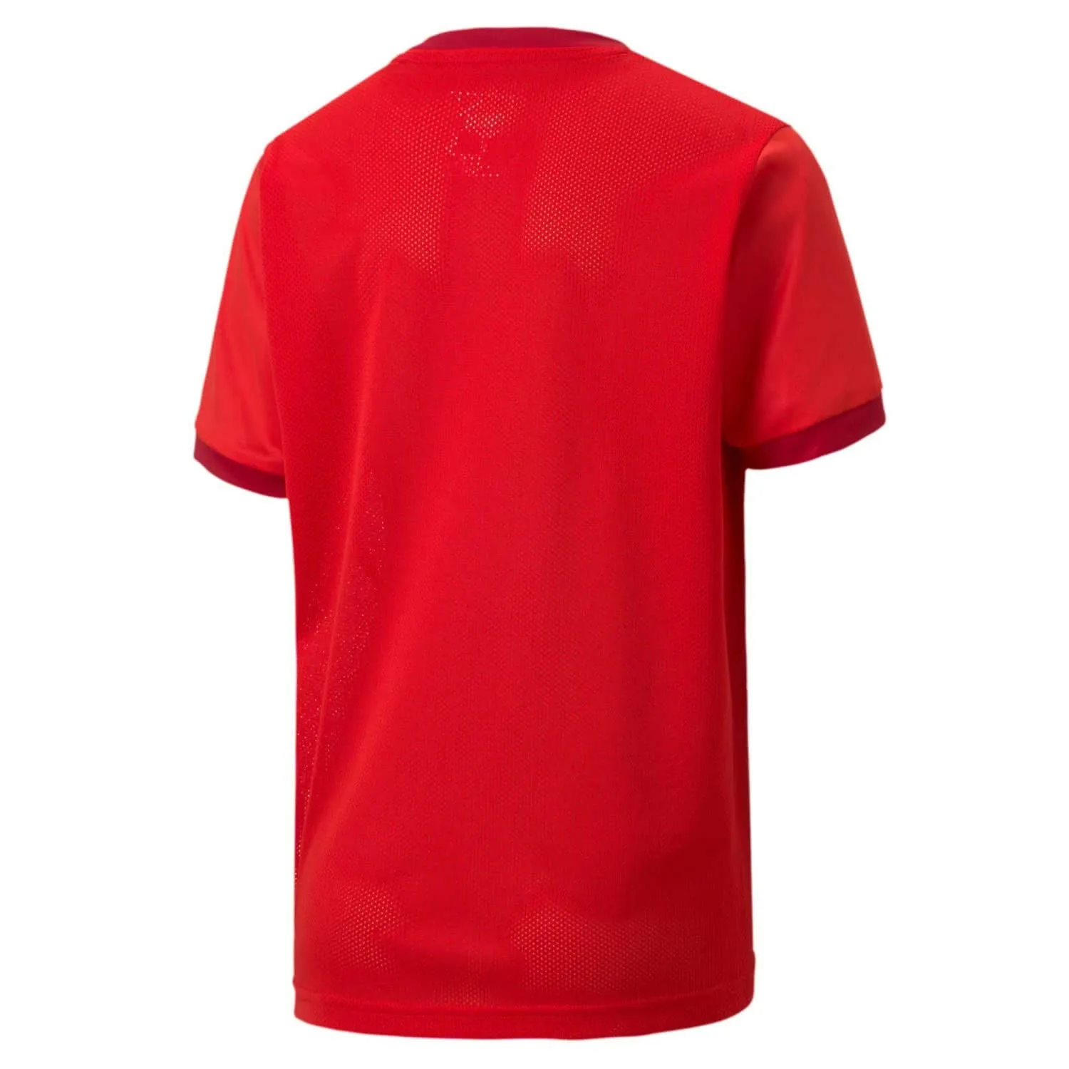 PUMA Teamgoal 23 maglia calcio junior traspirante