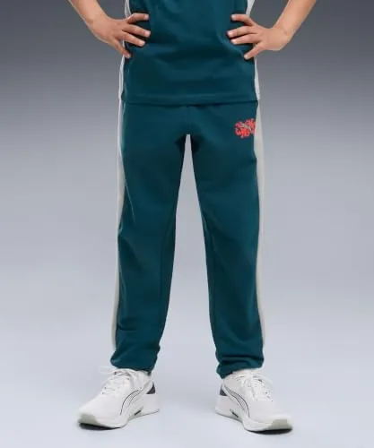 Puma Active Sports Sweatpants TR B pantaloni tuta 176 training