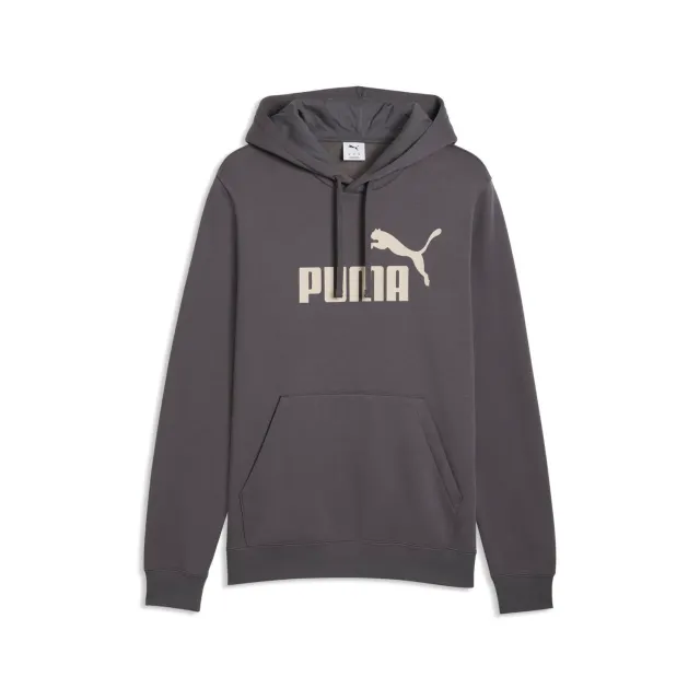 Puma Essentials felpa uomo con cappuccio cotone grigia