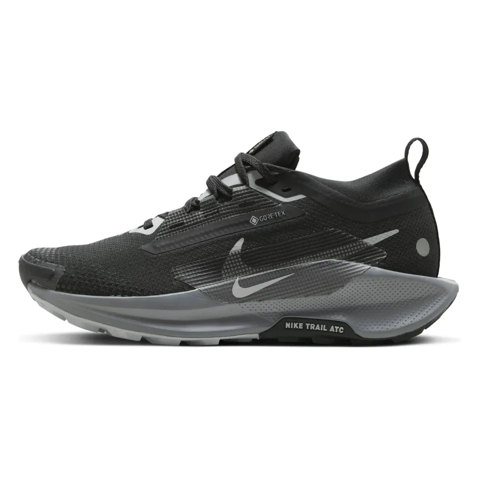 Nike Pegasus Trail 5 Gore-Tex scarpe donna