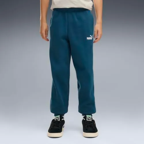 Puma Ess No.1 Logo Sweatpants FL B pantaloni tuta 176 logo