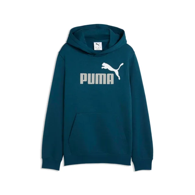 Puma ESS 2 Colour No.1 felpa cappuccio bambino 116 cotone