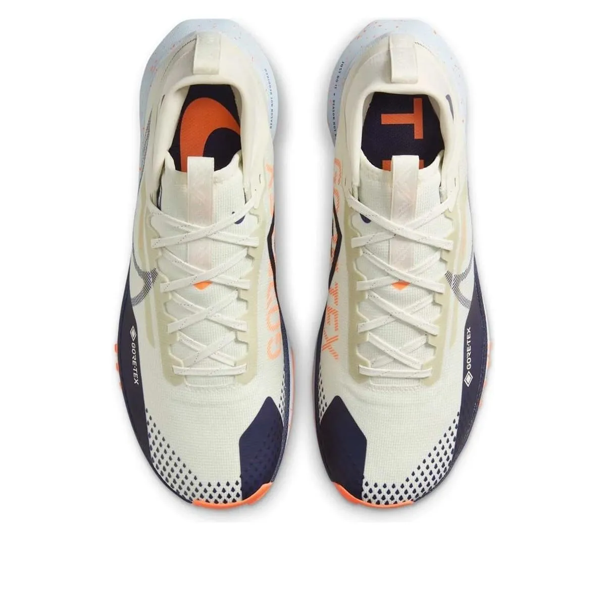 Nike Pegasus Trail 4 GTX V2 Scarpe trail Uomo impermeabili
