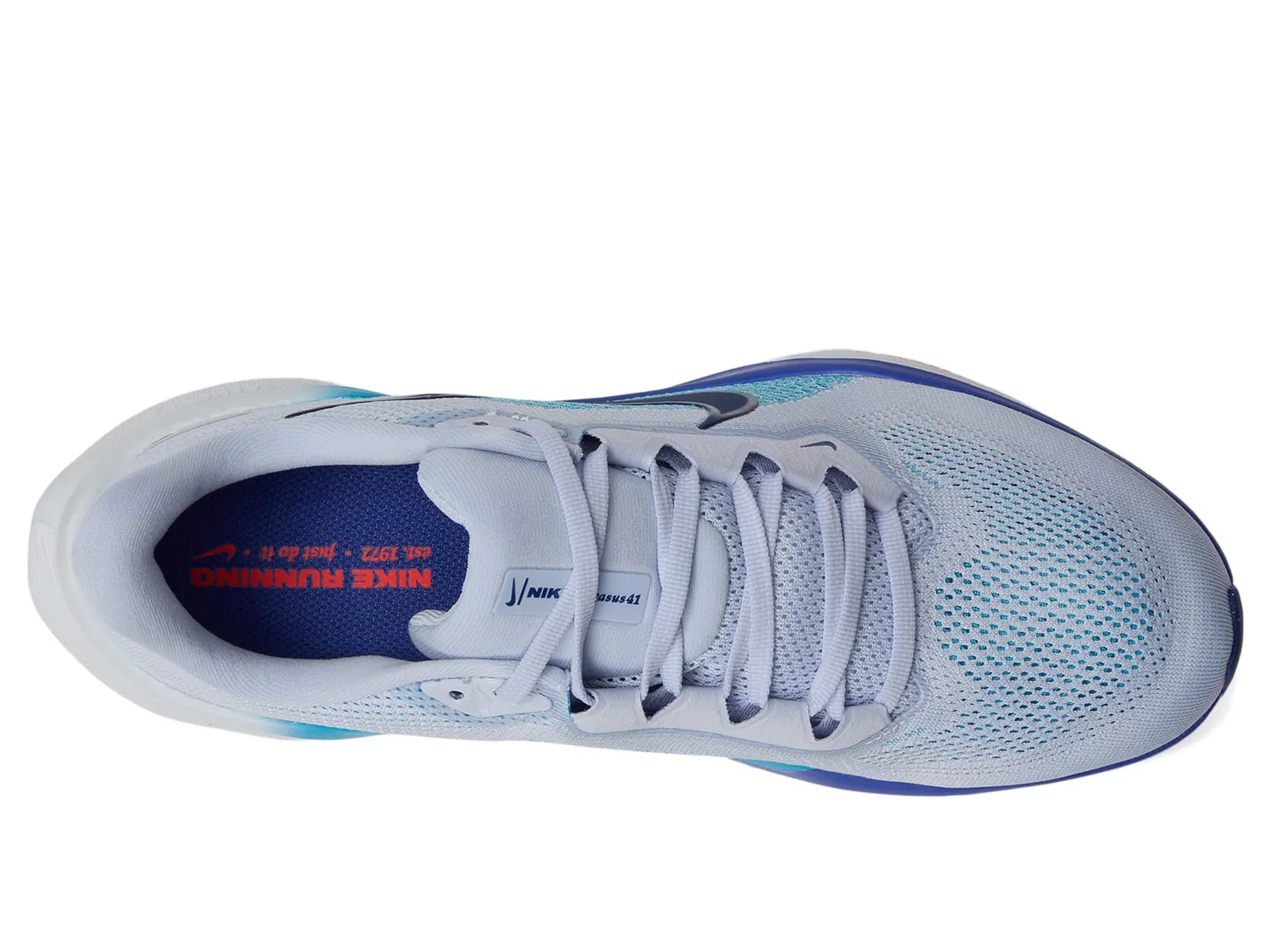 Nike Pegasus 41 scarpe corsa uomo reattive ammortizzate