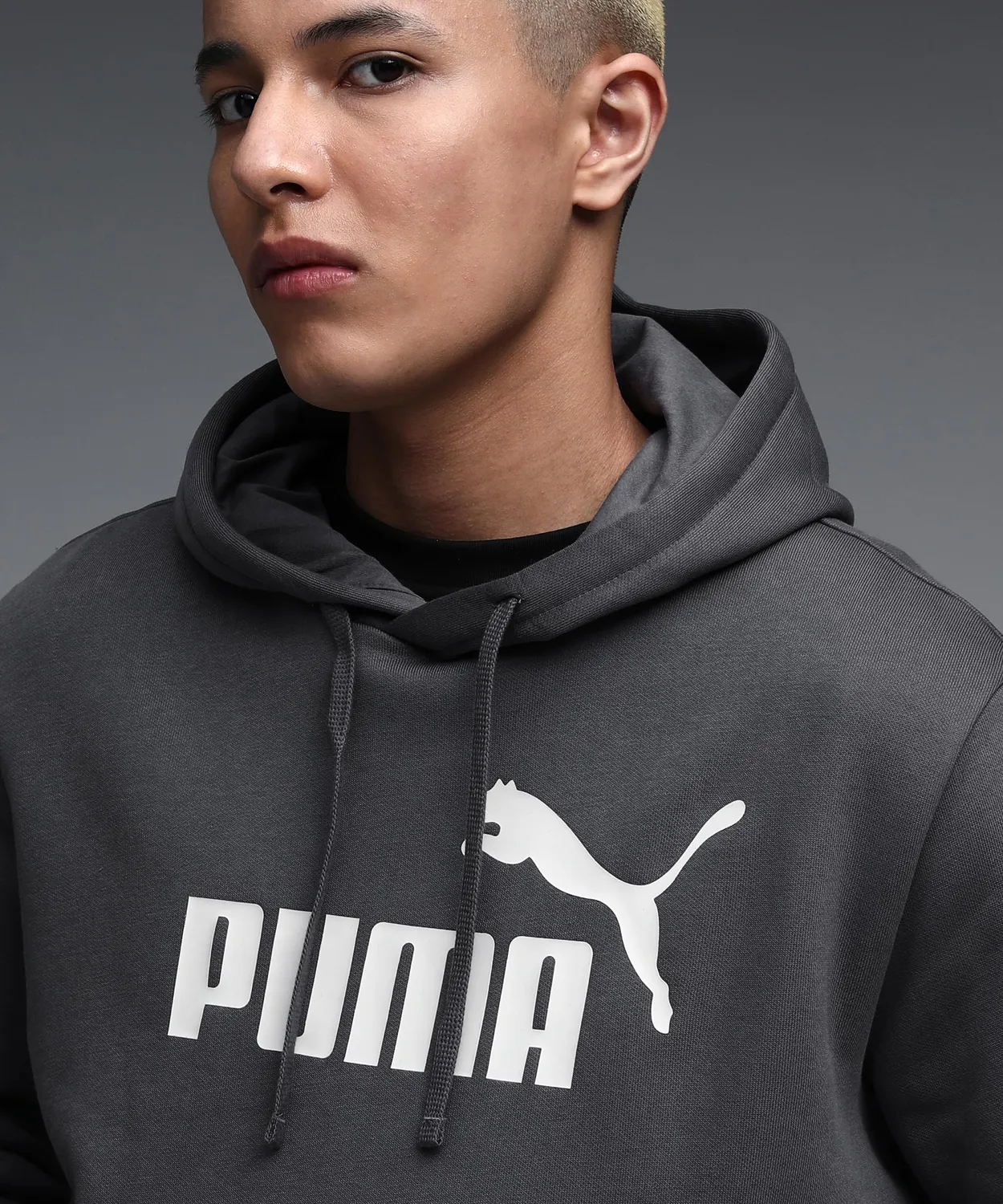Puma Essentials felpa uomo con cappuccio cotone grigia
