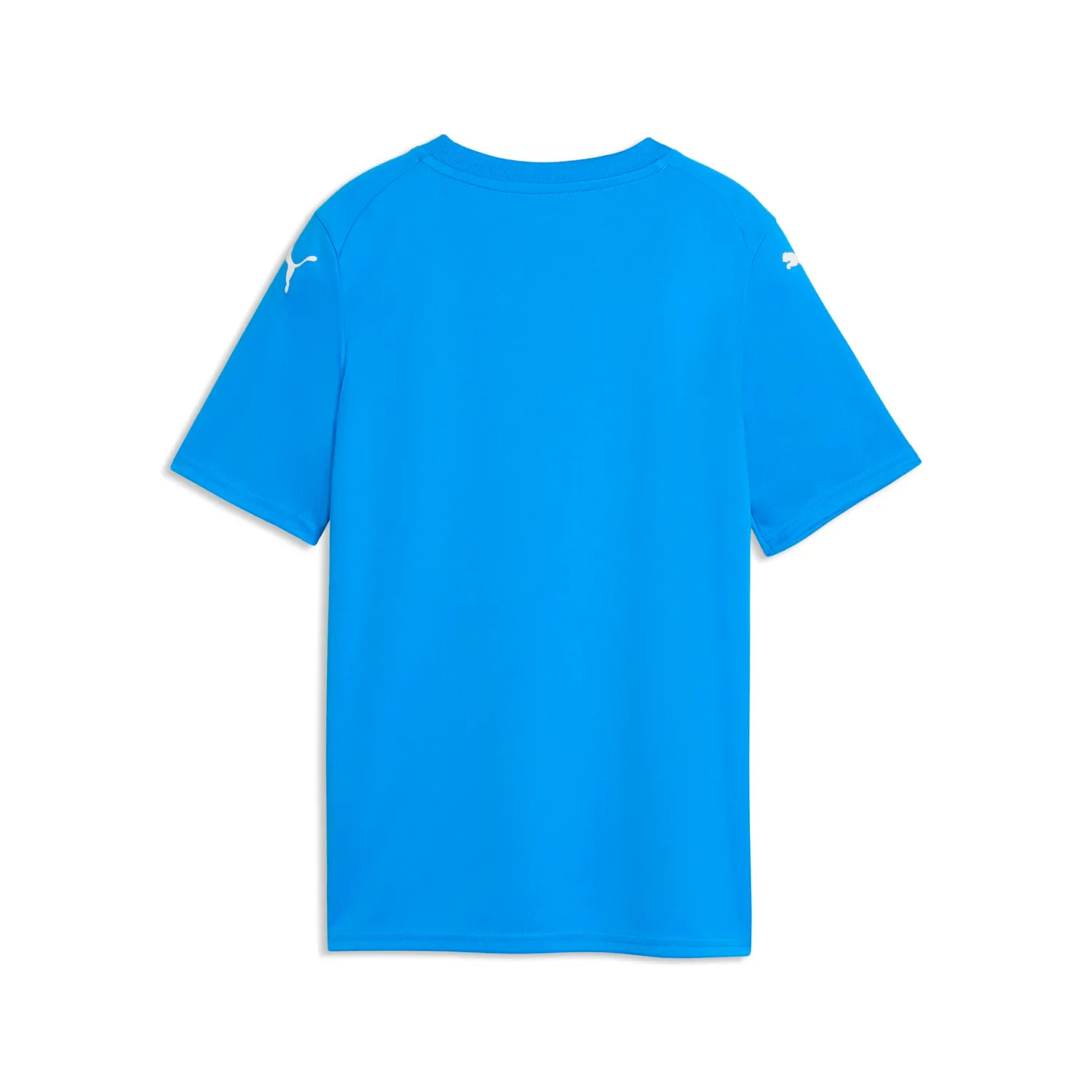 Puma Teamfinal Graphic Jersey Jr maglia calcio junior