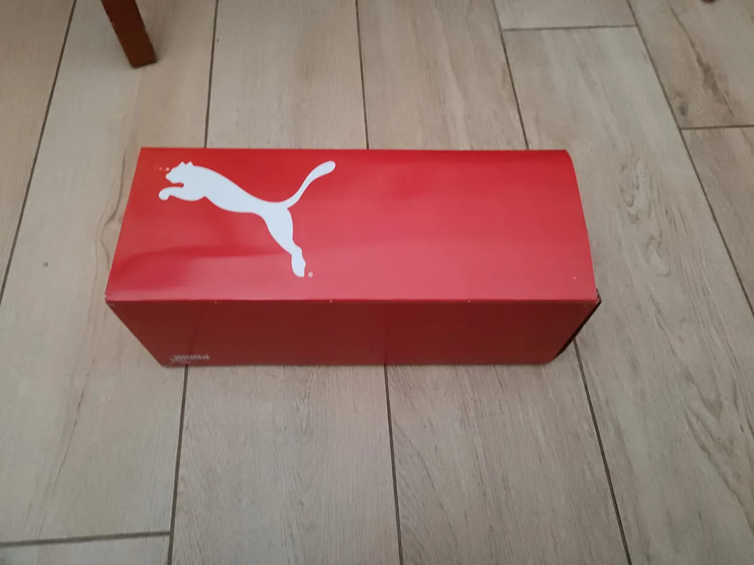 Puma Divecat v2 Lite ciabatte 47 EU piscina morbide