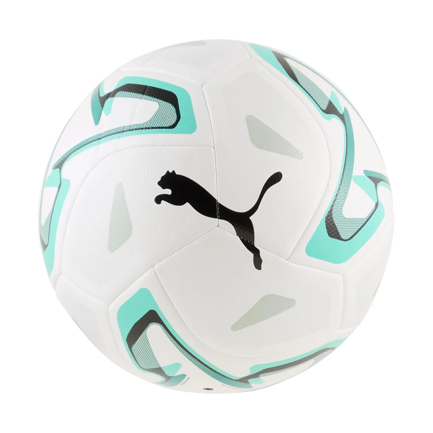 Puma Stellar Cup Lite 290 pallone allenamento 5